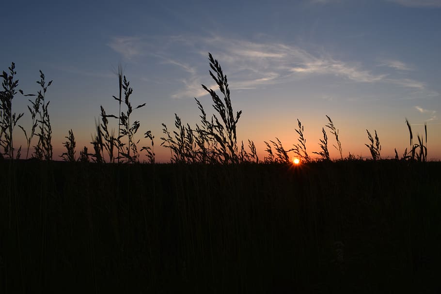 sunset, the sun, sky, view, evening, nature, landscape, west HD wallpaper