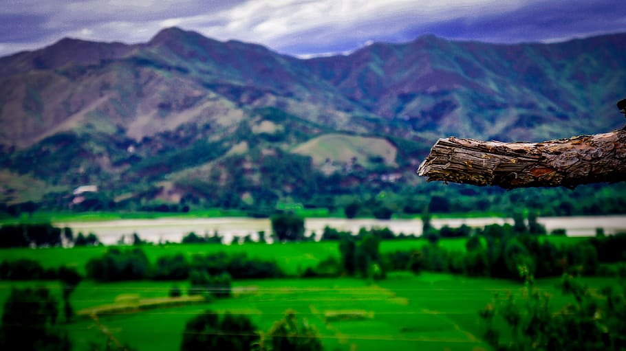 Landscape Photography of Mountains and Trees, cropland, grass HD wallpaper