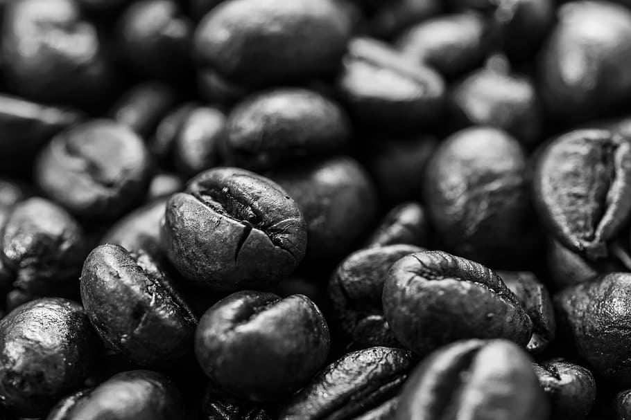 Coffee, Beans, Coffee Beans, Espresso, coffee cup, roasting HD wallpaper