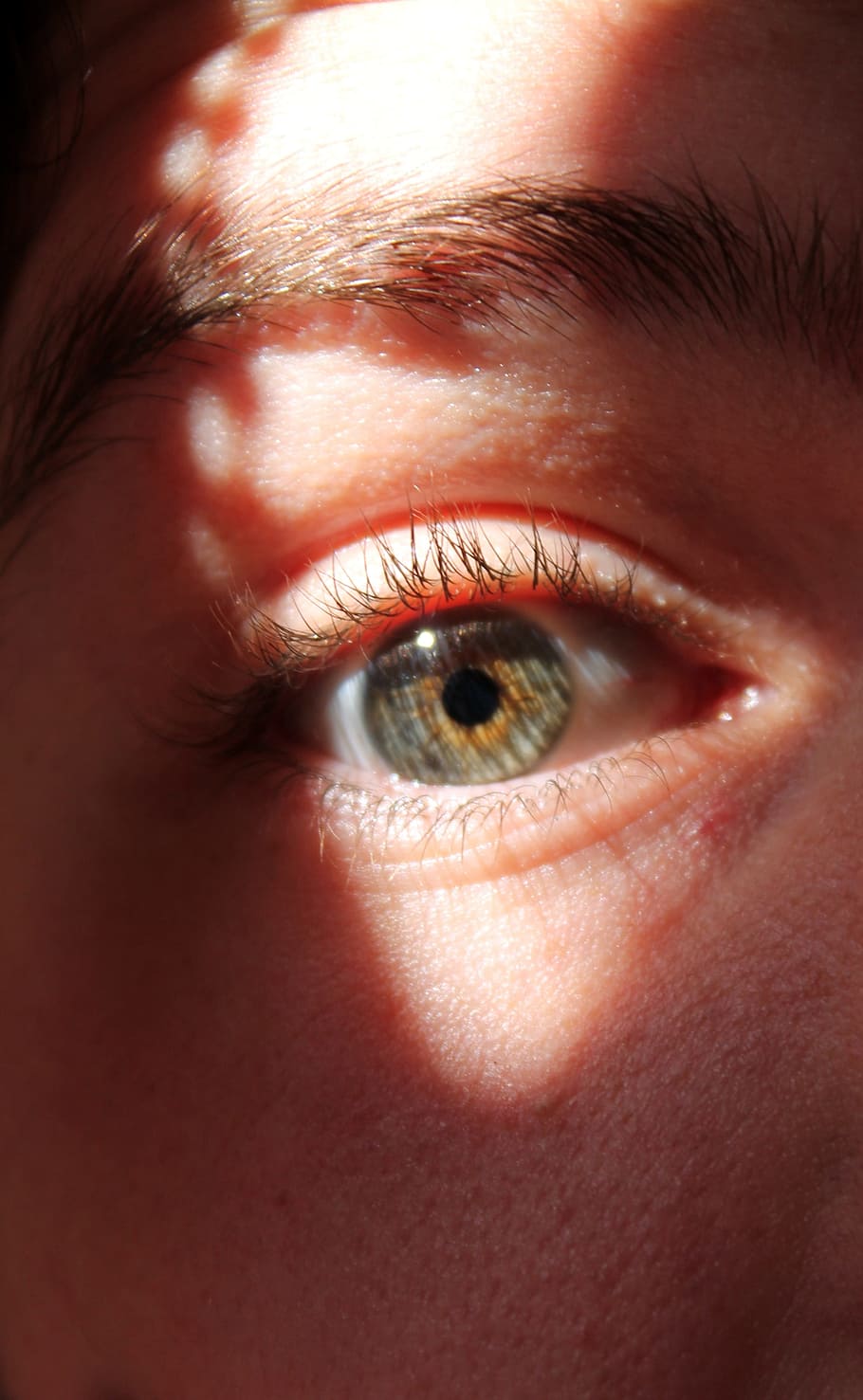 eye, eyelashes, eyebrows, face, man, guy, light, human body part HD wallpaper