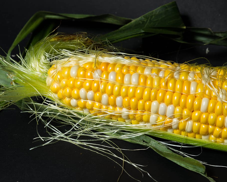 corn, open detail, close up, vegetable, wellbeing, healthy eating HD wallpaper