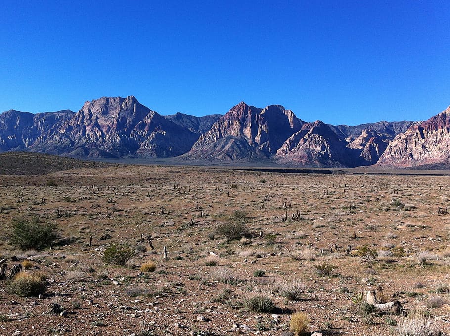 green grasses with mountain in vicinity, desert, nevada, landscape HD wallpaper