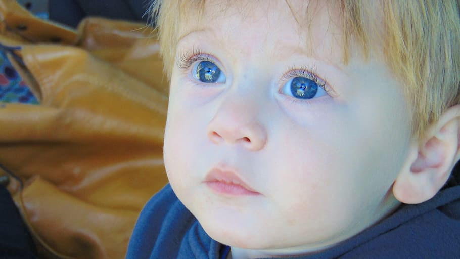 HD wallpaper: blonde haired baby boy, little boy, toddler, blue eyes,  adorable | Wallpaper Flare