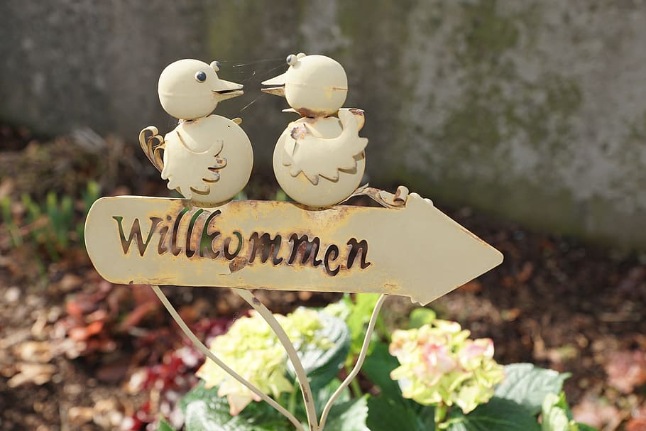 welcome, shield, birds, text, communication, western script HD wallpaper