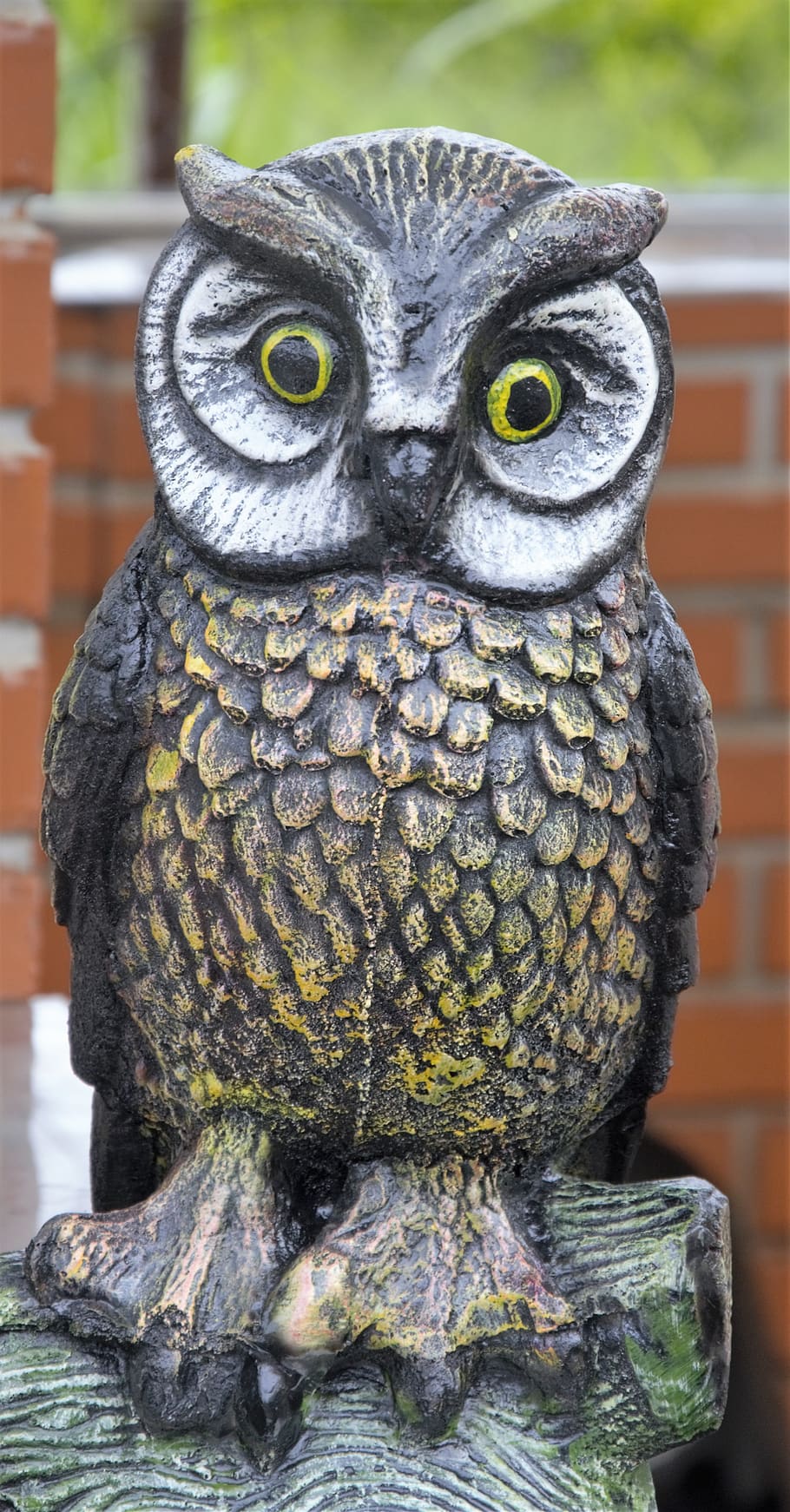 owl, garnish, wisdom, bibel, bird, bird of prey, vertebrate HD wallpaper