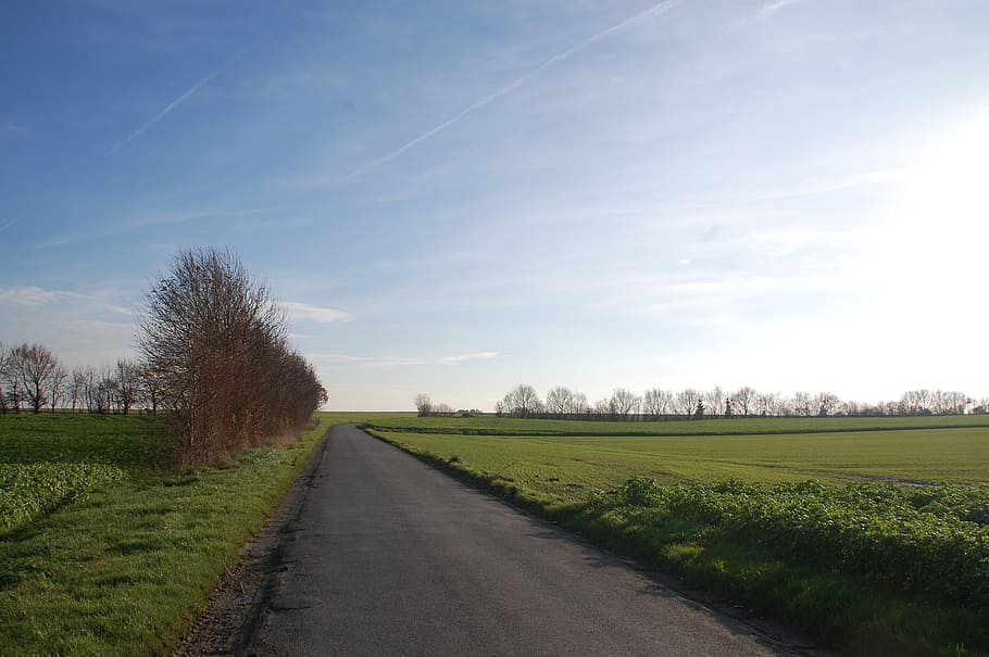 field, path, promenade, sky, plant, road, landscape, grass HD wallpaper