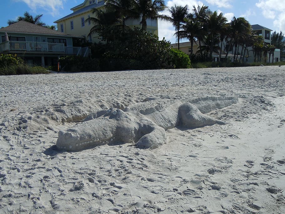 beach, sand, alligator, animals, sandsculpting, built structure HD wallpaper