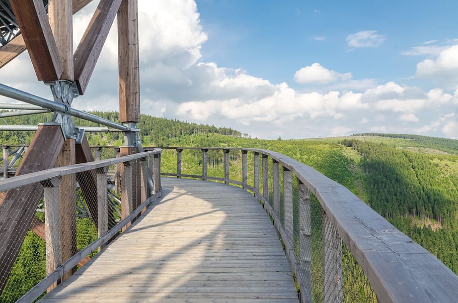 nature, sky, clouds, field, forest, idyllic, railings, scenery HD wallpaper