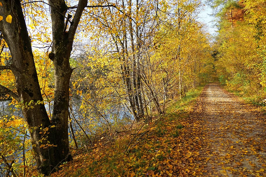 autumn, danube, nature, river, tuttlingen, industrial area, HD wallpaper