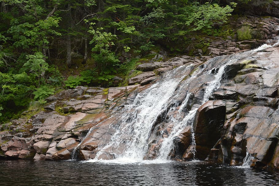 fall, water, nature, rock, beauty in nature, plant, tree, motion HD wallpaper