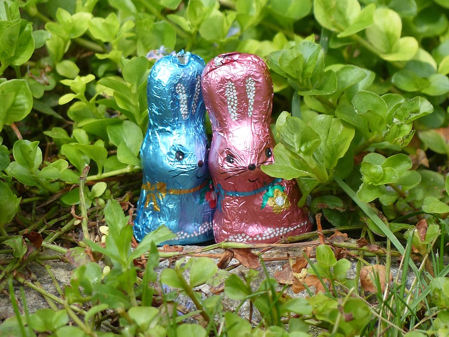 rabbit, easter, spring, couple, pink, blue, tradition, easter holidays HD wallpaper