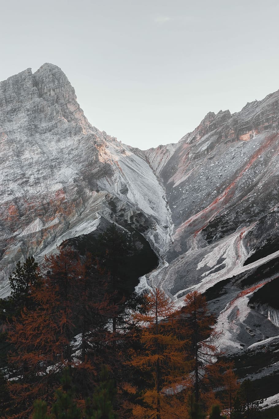 aerial photography of mountains, brown and gray mountains near brown leafed trees HD wallpaper