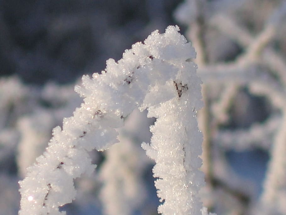 Winter, Ice, Cold, Mood, Silent, cold temperature, white color HD wallpaper