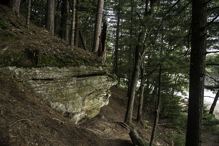 Rock, Trees and forest in Wisconsin Dells, nature, outdoors, public domain, HD wallpaper