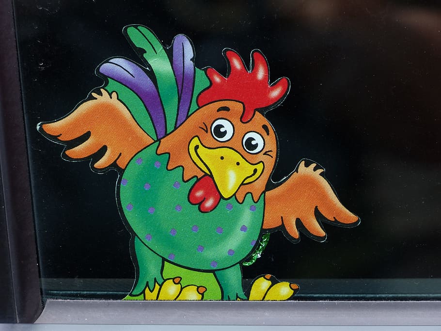 Hahn, Chicken, Hen, Chocolate, Colorful, funny, cheerful, animal HD wallpaper