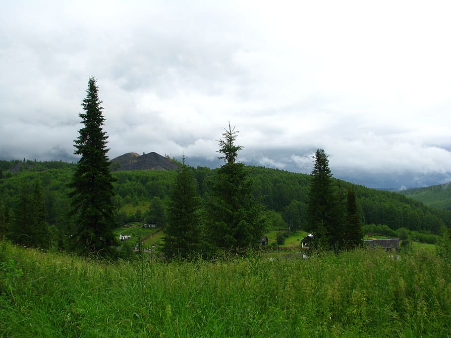 clouds, cumulus, sky, day, nature, landscape, summer, hills HD wallpaper