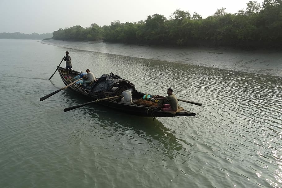 Boat, Mangroves, Sundarbans, Forest, river, ramsar site, unesco