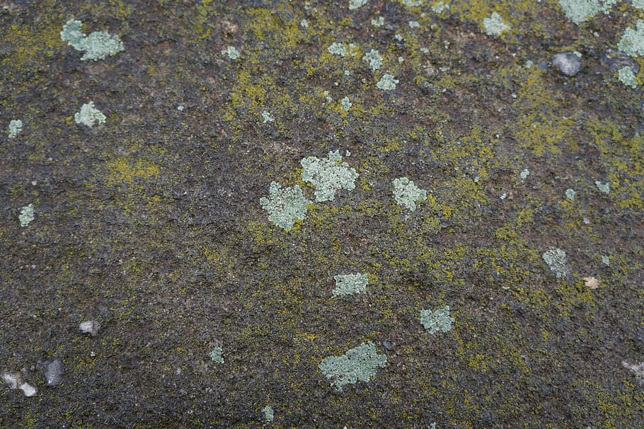 textures, stone, background, weathered, structure, wall, house wall HD wallpaper