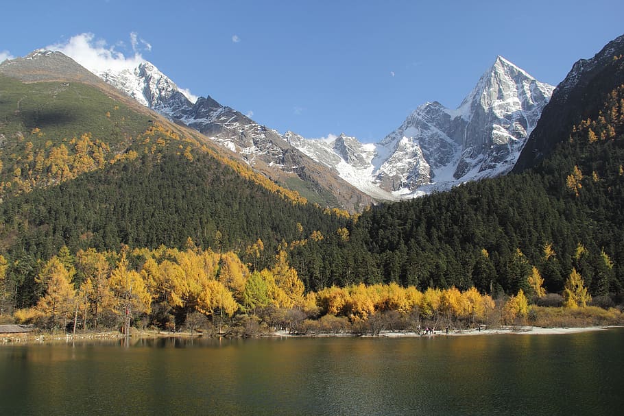 the scenery, bi peng gou, snow mountain, tree, plant, scenics - nature, HD wallpaper