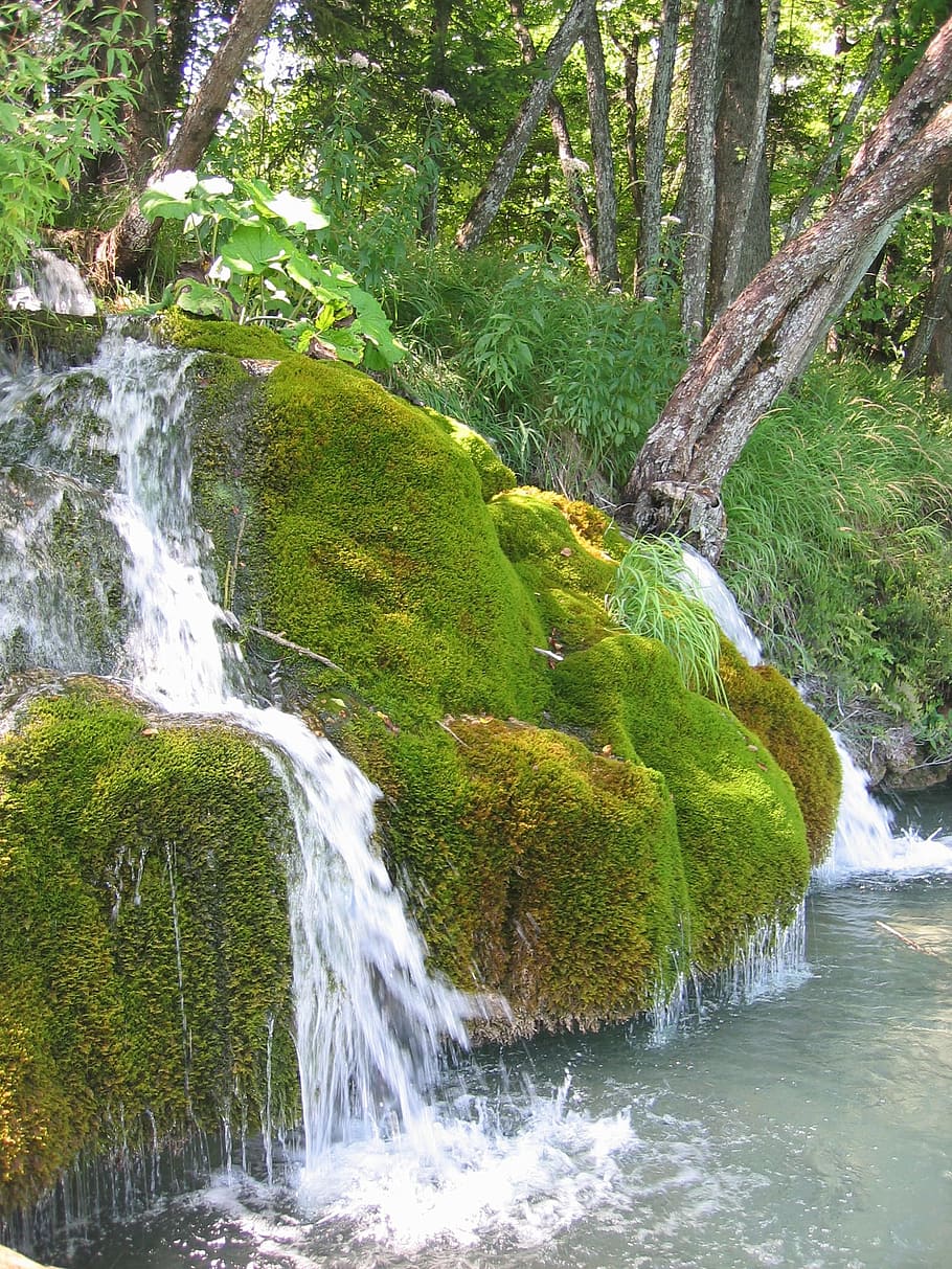 waterfalls surrounded by trees, Moss, Bach, Moist, nature, landscape HD wallpaper