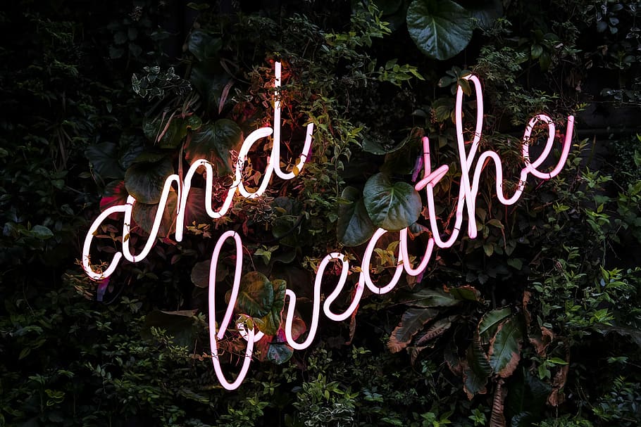 green leafed plants with and breathe neon sign, and breathe neon light signage turned on, HD wallpaper