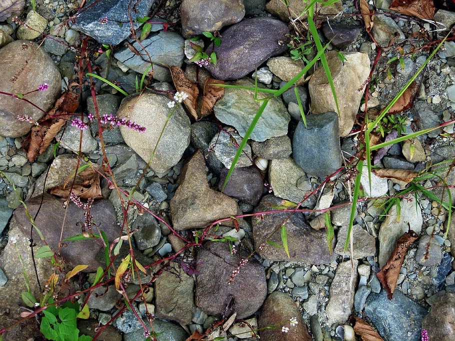 rocks, stones, grass, texture, surface, nature, material, landscape HD wallpaper