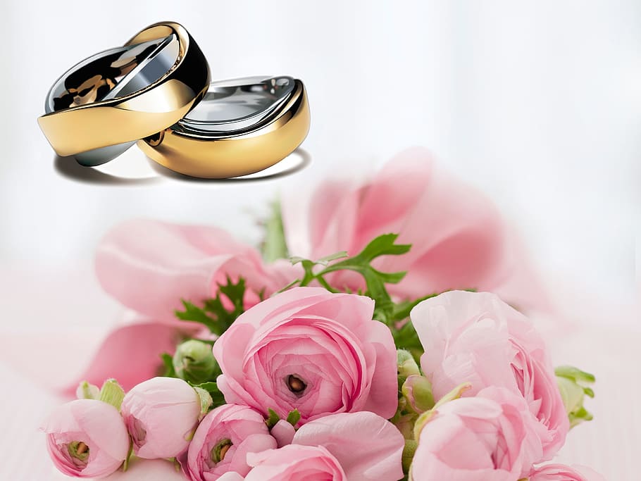 two gold-colored band rings, wedding rings, before, love, marry, HD wallpaper