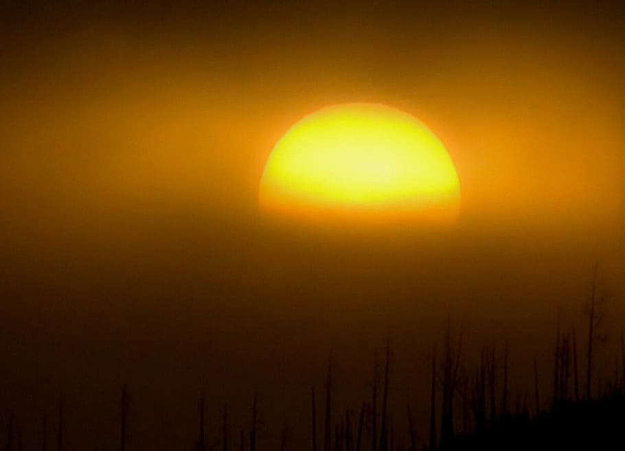 Sunrise, Sunset, Mood, Fog, romantic, nature, dusk, sunlight HD wallpaper
