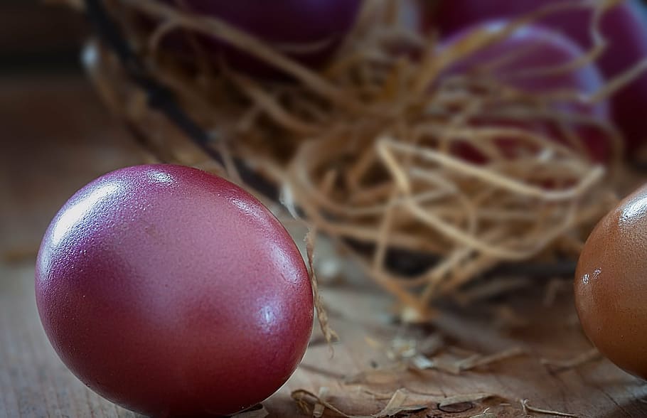 easter egg, color, colored, colored egg, customs, close, food HD wallpaper