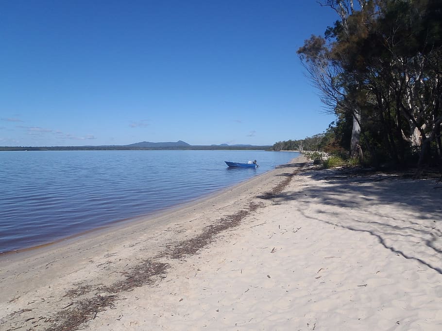 Lake, Beach, Bank, Boot, sand, sea, scenics, nature, water HD wallpaper