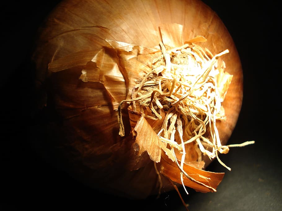 Onion, Vegetables, Cook, human body part, flame, close-up, indoors HD wallpaper