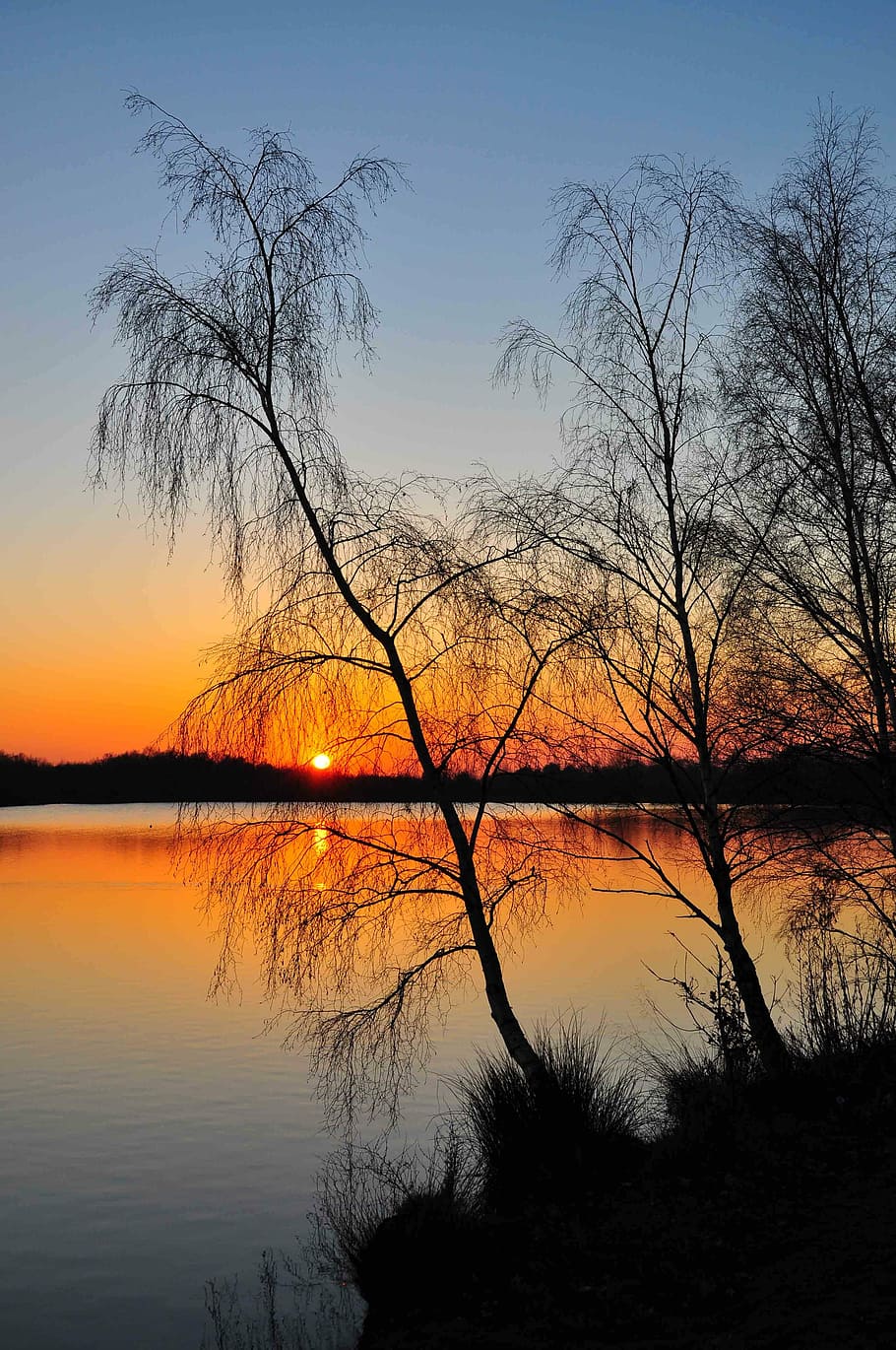 tree, dawn, nature, landscape, sunset, water, reflection, lake HD wallpaper