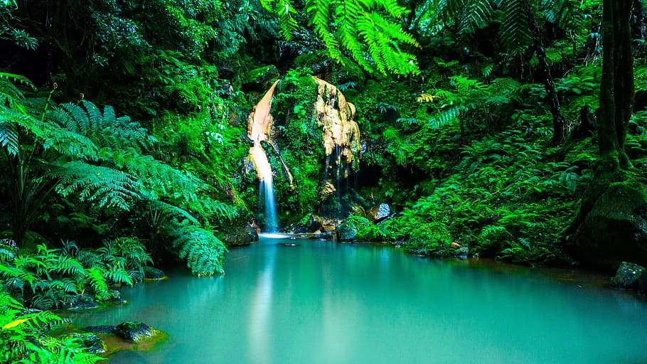 landscape photo of body of water between trees, azores, waterfall HD wallpaper