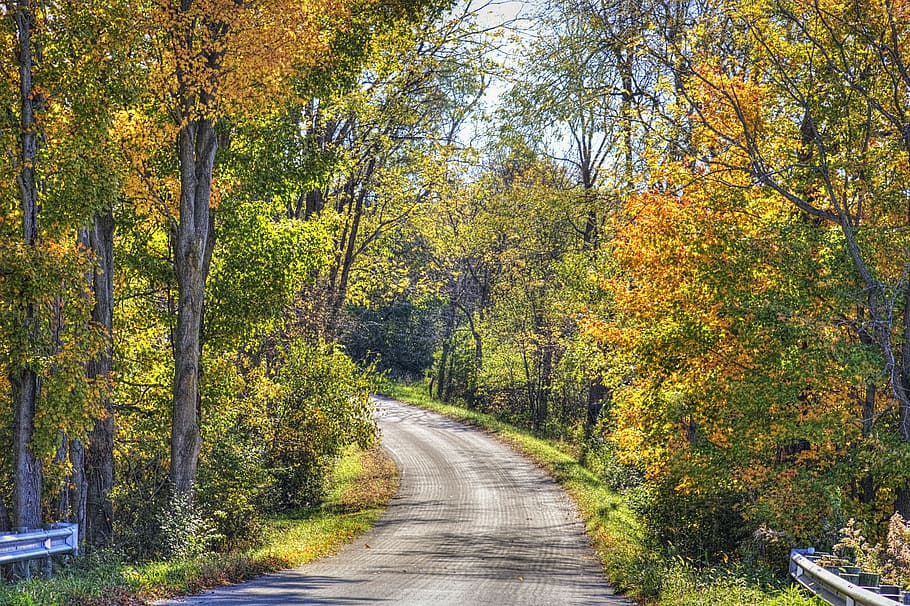 scenery, road, autumn, trees, artistic, art print, digital art, HD wallpaper