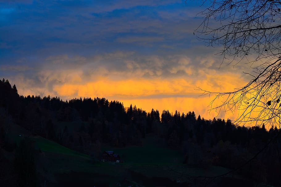 forest, nature, sky, landscape, twilight, clouds, golden, farbenspiel HD wallpaper