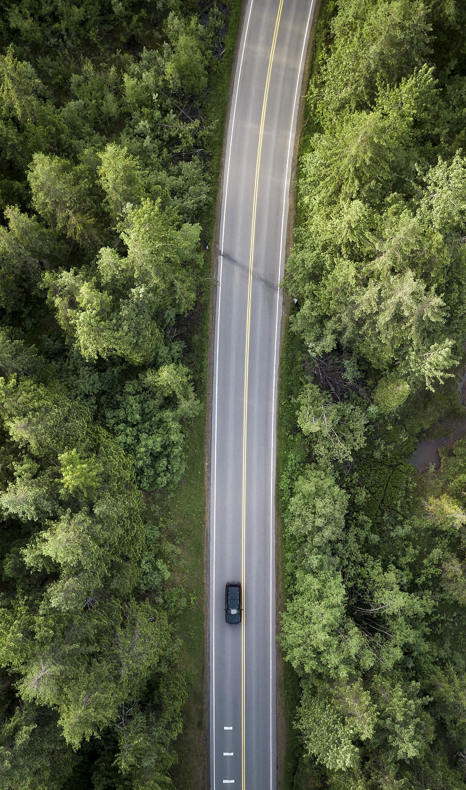 aerial view of black vehicle on gray asphalt road during daytime, car on grey asphalt road in between green trees