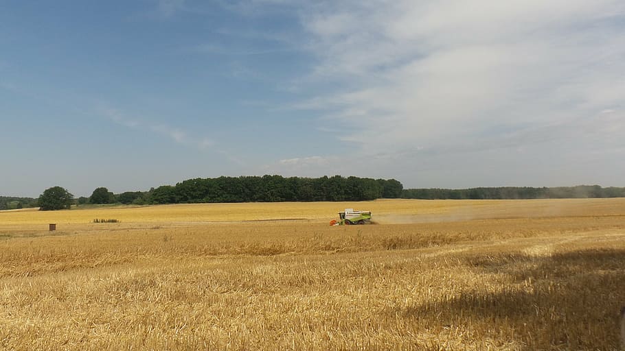 landscape, harvest, field, cornfield, clouds, combine harvester HD wallpaper