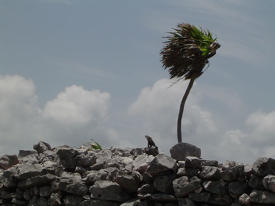 wind, landscape, sky, nature, ecology, rock, solid, cloud - sky HD wallpaper