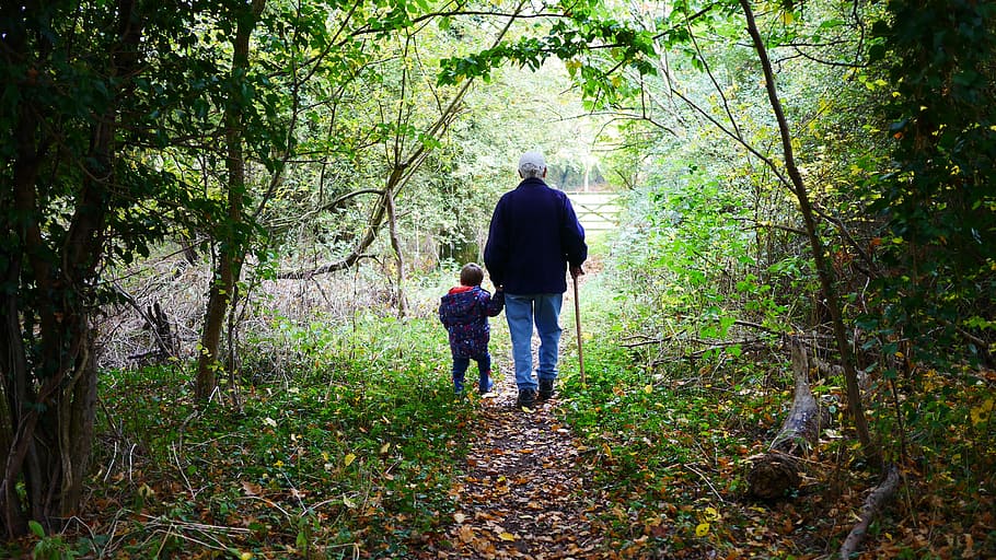 man and boy holding hands walking dirty pathway towards forest, HD wallpaper