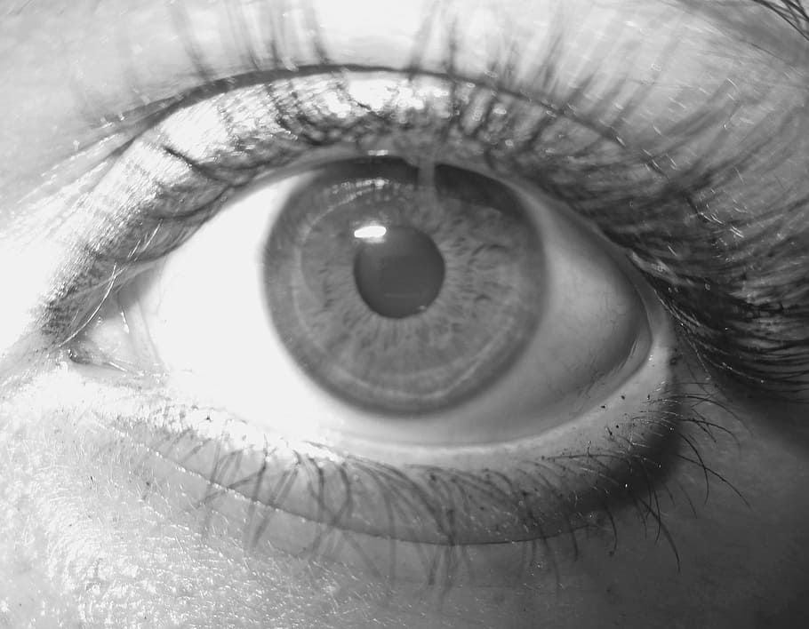 eye, algae, detail, eyesight, sensory perception, human body part HD wallpaper