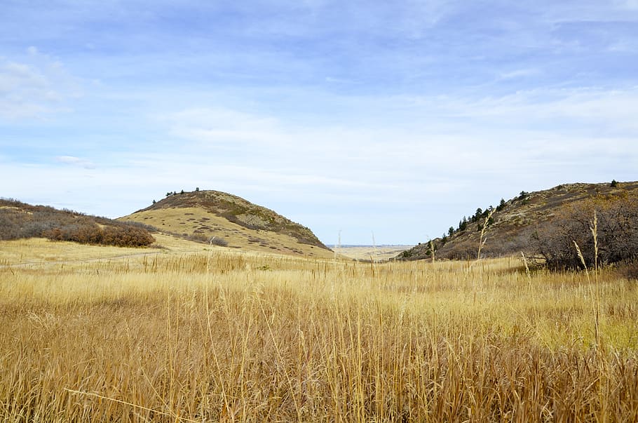 Denver, Fall Color, Plain, Field, landscape, dry, grass, nature HD wallpaper