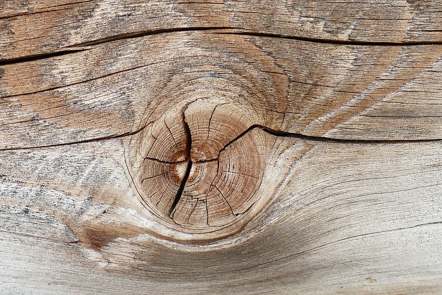 macro, wood, branch, structure, old, wood - Material, plank HD wallpaper