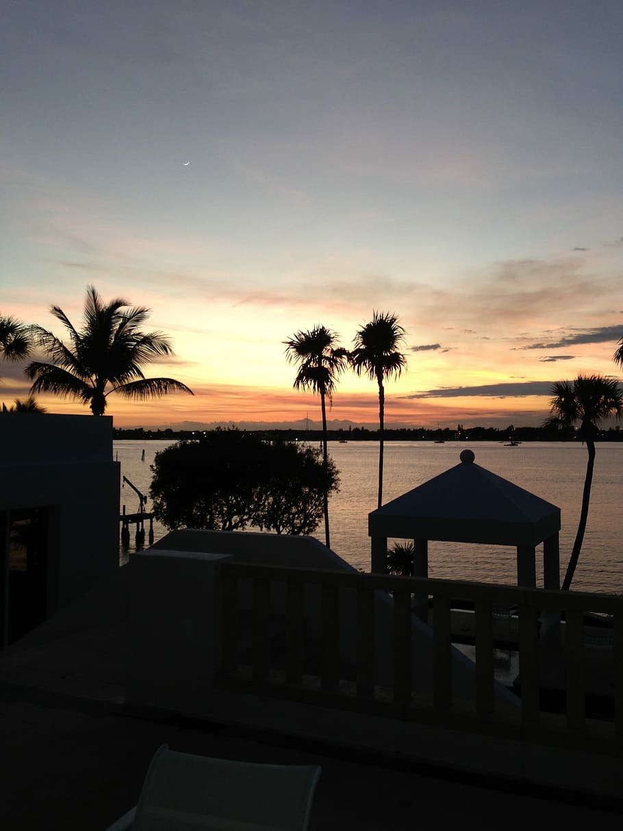 Lantana, Florida, Sunset, palm tree, silhouette, tourist resort HD wallpaper