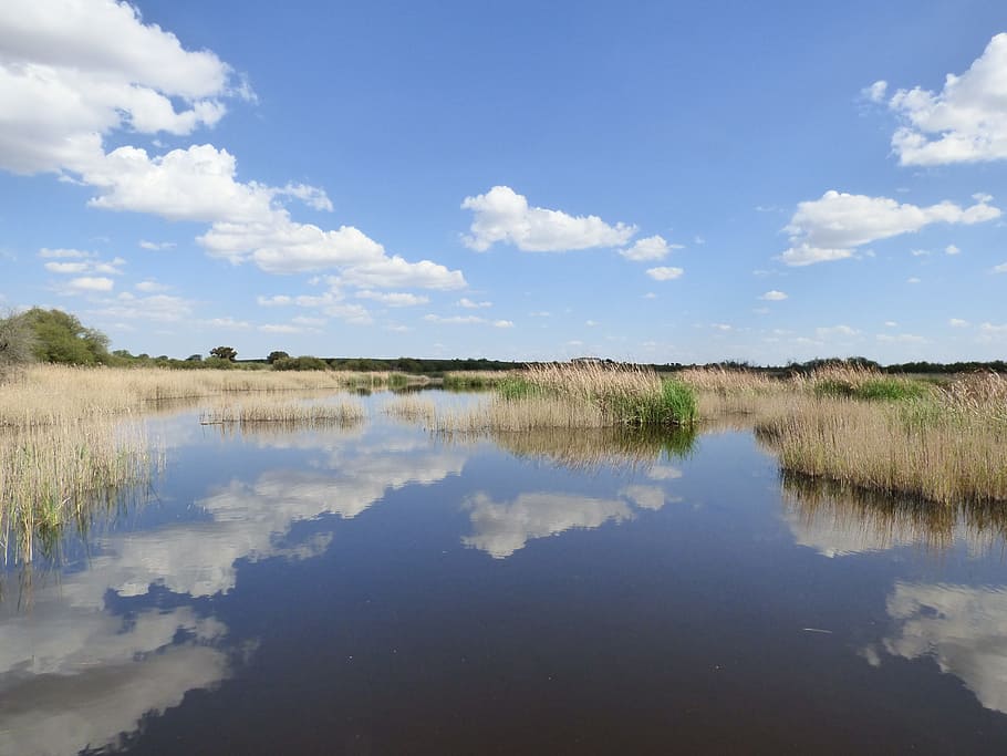 Water, Clouds, Grass, Colorful, Lake, landscape, reflection HD wallpaper