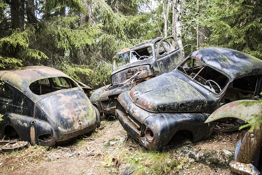 three dammage black cars in forest at daytime, scrap, moss, old