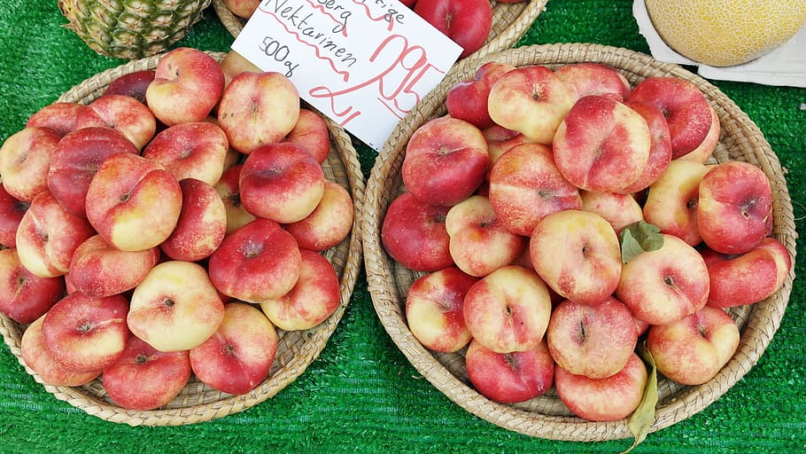 nectarines, vineyard nectarines, fruit, healthy, summer, food HD wallpaper