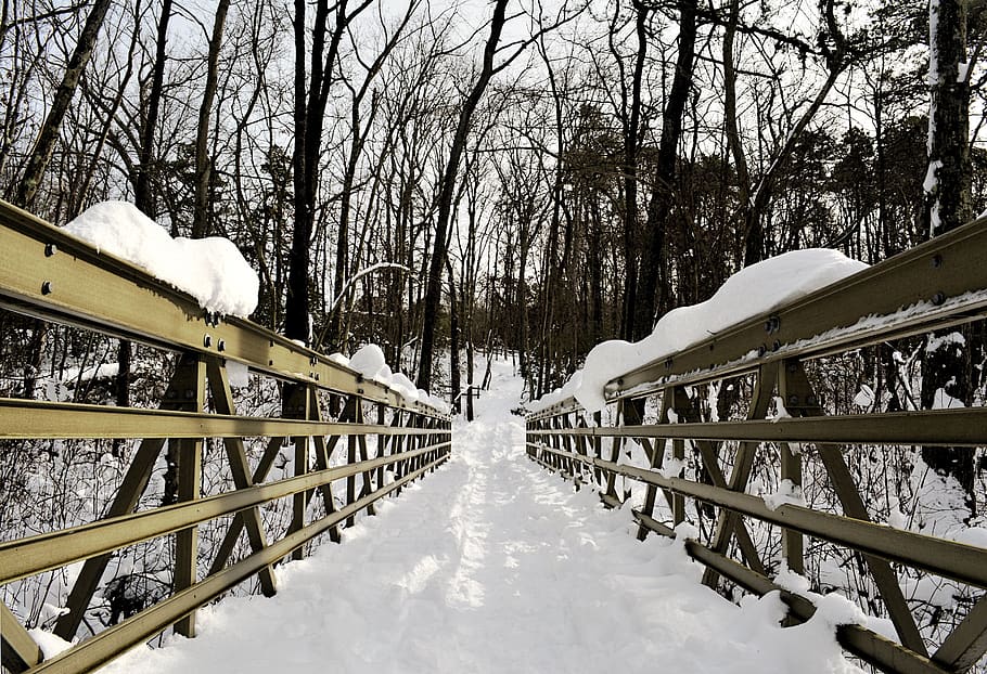 bridge, snow, trees, winter, nature, cold, white, landscape HD wallpaper