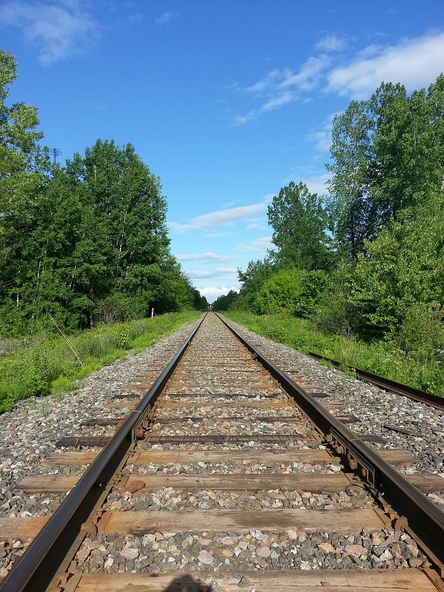 train, rail, transportation, carrier, iron, highway, track HD wallpaper