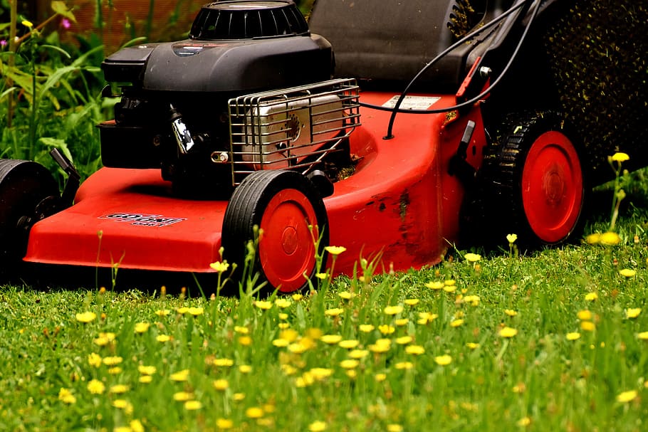 close-up of red push mower, lawn mower, lawn mowing, green, meadow