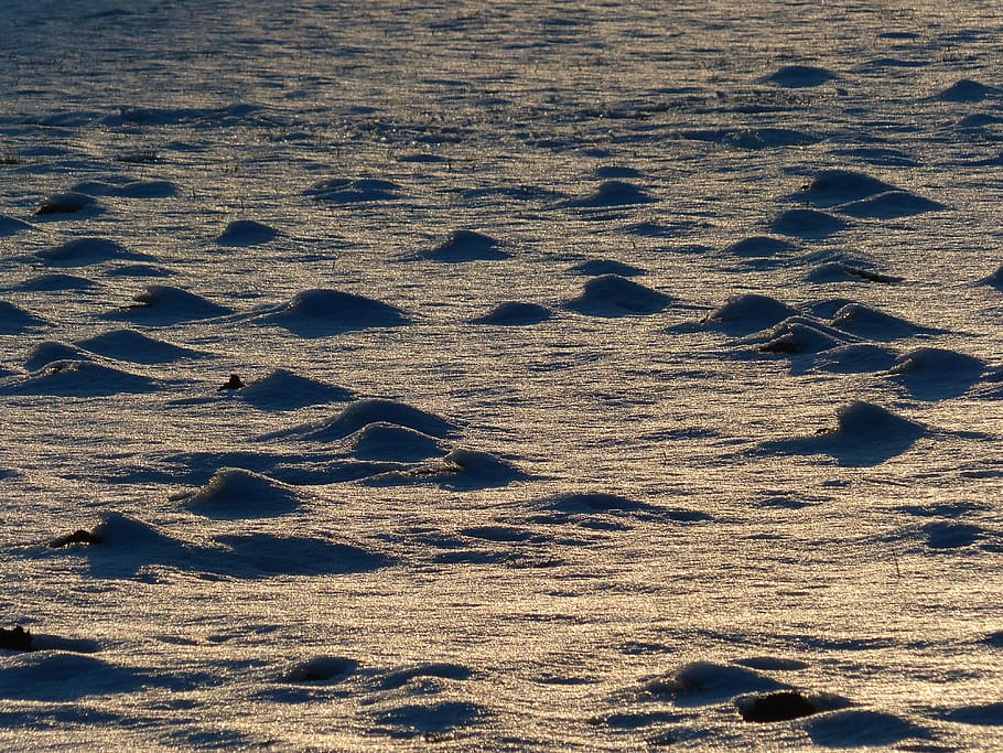 Wintry, Winter, Frozen, Molehill, Snow, snowy, cold, icy, golden HD wallpaper